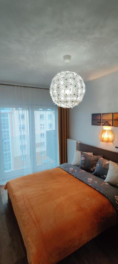 Zebra Appartement Wrocław Buitenkant foto